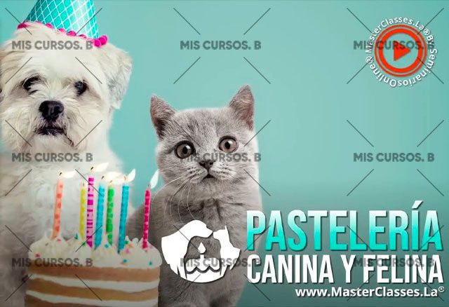 pasteleria canina y felina 6538e4119695e